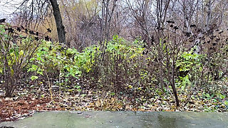 Every Stepmother Should Make Her Stepson's Dream Come True