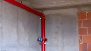 Shhh! Exhibitionist caught touching herself in public