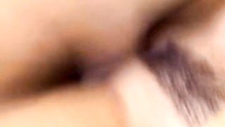 Watch wild hussy's trailer