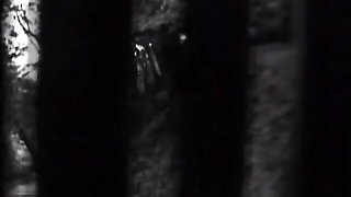 Pin-up escort at amateur trailer