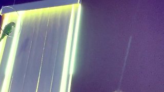 Webcam Girl Free Big Boobs Porn Video