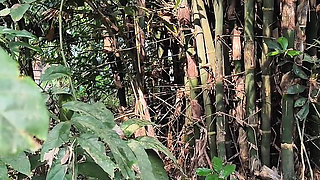 Silent beauty of my garden