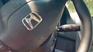 Piss Garden Nearby Car
