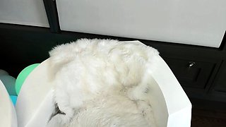 Webcam Amateur Webcam Free Babe Porn Video