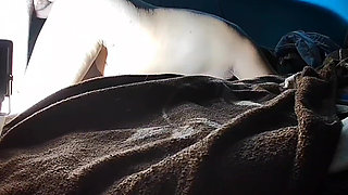 Puchis - Sexy MILF Jugoso Ruidoso Squirting