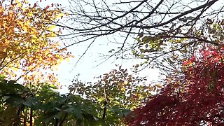 001-wguuhy-ouhsgy-poo-apd