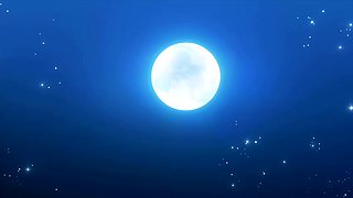 Passionate Memory at nightfall under the night