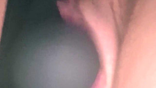 Cucumber Planting Lesson