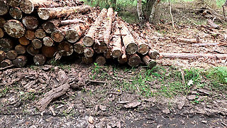 Spread Your Legs on the Woodpile I Wanna Slap Your Pussylips