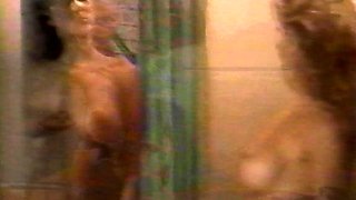 Hot blonde sotckings blowjob anal fuck vintage