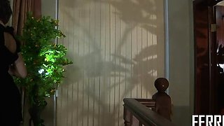 Two brunette lesbians in white lingerie licking in bedroom