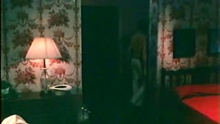 Vintage Shower Fucking scene from Classic Porn DVDs