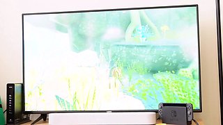 Tears of the Femdom: A Link to the Ass