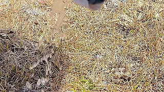 A Compilation of Public Pissing and Creampies in Nature! Road Trip! POV!