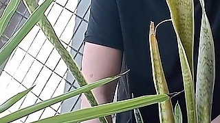 Peeing on a Potted Plant