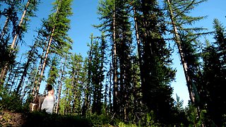 Bree Daniels hot erotic solo outdoor