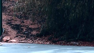 Interracial Lesbian Licking In Stockings