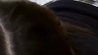 Gym Teacher Featuring Anissa Kate