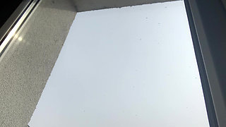 Carrots between big tits