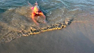 Try Not to Wet My Hair While Play with the Waves