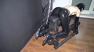 How I Like To Play With My Little Latex Kitten