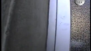 Hairy pussy retro style