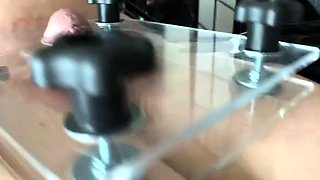 Damazonia - CBT FemDom