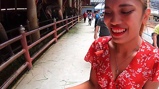 Feeding elephants and sex at home after with big ass Thai GF