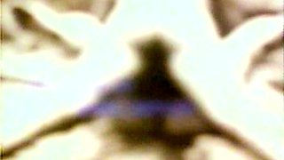 Milf blondes passionate lover