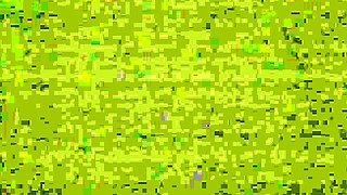 Black and White Lesbian Lovefest