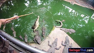 Crocodiles feeding and Thai backside smacking