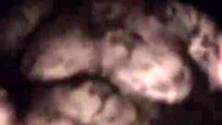 Chubby wife at Houston glory hole