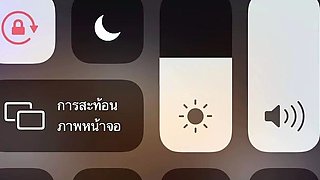 Big tit shemale jerks her long cock