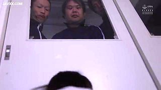 x1xD529B6385AA2AACF46