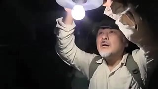 123-wgeedhy-ouhsgy-one-tms