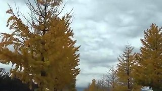 Asian Japanese teen big boobs creampie