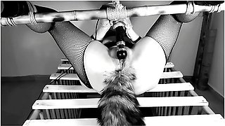 The Beauty And The Cage Ii: The Wet Version - Countless Orgasms Tied Up Homade Bdsm