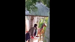 Indian Wifey Bumpers Flick Record By Husband and Nailing