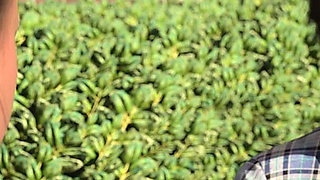 How to Lose Ones Virginity 3 - Leo Pressed His Class Teacher Kate's Boobs on Purposely and Got to Her Fantasy