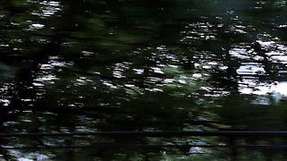 Anal solo playing amateur ass fingered in this pov video