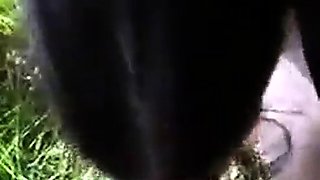 Endnu en dansk video