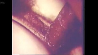 Vintage MILF Andrea True Blowjob and Doggy Style with BBC