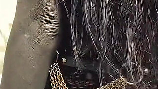 Asian Tattooed Mistress Squirts and Masturbates