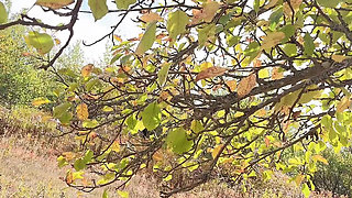 Hana at the Garden and Special Thing Happen