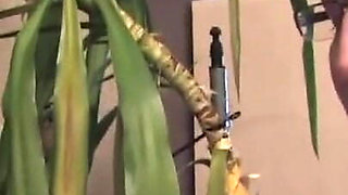 You Want My Husband,your Stepbrother... Go Ahead