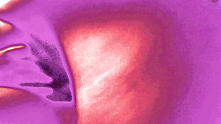 The Ballet of Breasts of a Married and Satisfied Whore