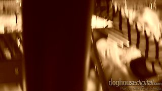 Spicy vixens breathtaking lesbian sex clip