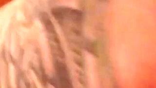 Nikita, My Love - Retro Nights, Raw Desires