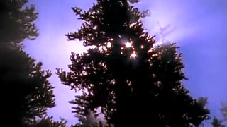 Titus Steel In Crazy Dirty Sex In A Wild Beach