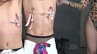 Mistress Whips Two Cross-dressing Masochists with Bell-attached Clips on Their Nipples, Makes Them Play Anal Dildo Tug-of-war